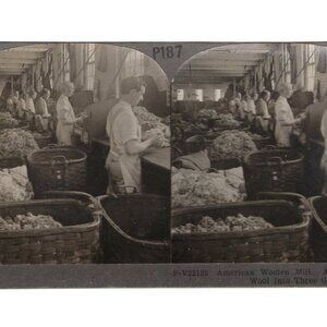 Vintage  Stereoview Card P187 American Woolen Mill Workers Sorting Raw Wool